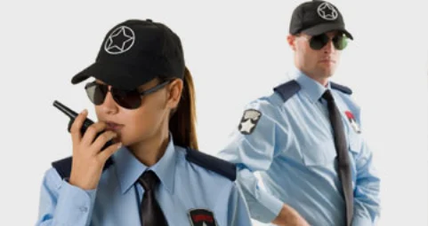 Assignment Officer (AO)